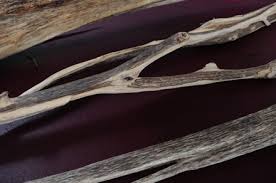 Berikut ini adalah 10 hasil pencarian ponsel paling populer di yahoo! Persidangan Gaharu Antarabangsa Memacu Saintis Upm Mendalami Penyelidikan Universiti Putra Malaysia