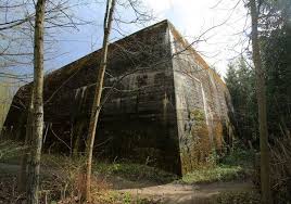 1,147 likes · 6 talking about this. Could Long Lost Amber Room Be Stashed In A Nazi Bunker In Poland The New York Times