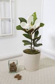 What kind of flowers are sent for sympathy? Pet Sympathy Memorial Gifts
