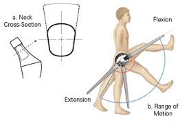 patient ed range of motion diagram and neck cross section