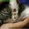 Together they comprise the female reproductive system, supporting sexual and reproductive activities. 1