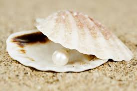 What is a Pearl? Explore This Mollusk-to-Marvelous Gemstone