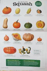 39 explanatory winter squash varieties chart