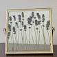 Pressed Flower Frame Workshop