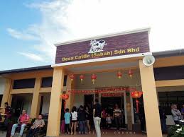 Desa cattle dairy farm kundasang, sabah. Sabah Bah Highland Excursion Desa Cattle Dairy Farm Poring Hot Spring Tagal Sg Moroli Sabah Tea Zaraab Travel
