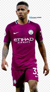 Manchester city fc manchester city f.c. Gabriel Jesus Manchester City F C Football Player Brazil National Football Team Png 1376x2500px Gabriel Jesus Art
