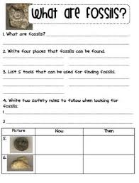 Fossils are a record of earth's history. 7 Fossils Ideas Fossils Fossils Activities Science Worksheets