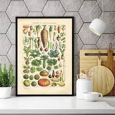 Schnapp dir jetzt das passende angebot aus über 3.000.000 produkten auf moebel.de. French Language Larousse Prints Lithograph Book Plate Vegetables Vintage Poster Rustic Kitchen Wall Art Canvas Painting Decor Painting Calligraphy Aliexpress