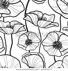 Basic Black And White Flower Outline Black And White Seamless Pattern With Outline Sketchy Poppy Monochrome Floral Background Wallp Black Background Painting White Flower Wallpaper Flower Outline
