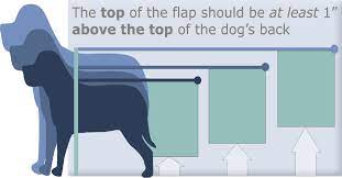 Pet door installation is generally a simple diy task. Professional Pet Door Installation Us Installers