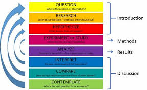 Image Result For Writing A Research Discussion Academic Writing Essay Writing Writing Services