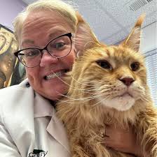 Green Valley Animal Hospital