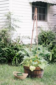 Maybe you would like to learn more about one of these? How To Grow Zucchini Vertically Hunker Zucchini Plants Vertical Vegetable Garden Vertical Herb Garden