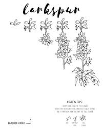 An Art By Sj Nielsen Step By Step Tutorial Of How To Draw A Larkspur Flower This Is Portion Of My Watercolor Fl Larkspur Flower Flower Drawing Flower Sketches Easy guide 'how to draw' from artistro! larkspur flower flower drawing