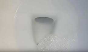 It coats the bowl well and works almost instantly to fight all that disgusting mess. Why Is My Toilet Bubbling Gurgling 4 Tips To Fix