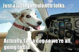 I Has A Hotdog Plane Funny Dog Pictures Dog Memes Puppy Pictures Pictures Of Dogs Dog Pictures Funny Pictures Of Dogs Dog Memes Puppy Pictures Doge Cheezburger