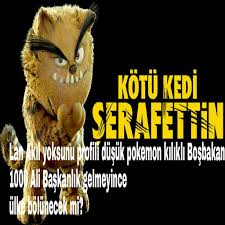 Mustafa Zeki Od Adli Kullanicinin Kotu Kedi Serafettin Panosundaki Pin Kedi Mizah Yat