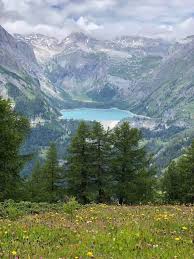 What S On In Zurich Mid August 2018 Onwards Newinzurich Your Guide To Living In Zurich August