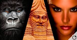 The skulls of early man so called homo habilis homo erectus are actually  skulls of raptilians and other Humanoid Et life forms that existed did you  know inside a Flying saucer are