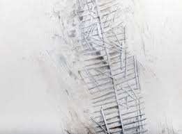 Bildergebnis für Robert Stackhouse