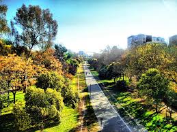 Jardines Del Rio Turia En Valencia Very Close From Our Hotel Book Now Your Accomodation In Valencia Www Bedbreakf Valencia Spain Valencia Botanical Gardens