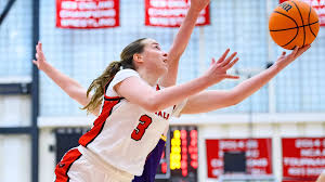 Image result for Felicia boehmii