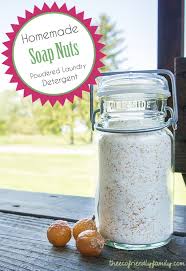 soap nuts laundry detergent recipe