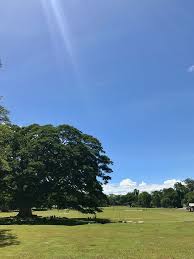 Maybe you would like to learn more about one of these? Fun Things To Do In Los Banos Laguna