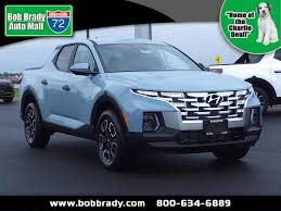 Image result for Blue Stone 2023 Santa Cruz