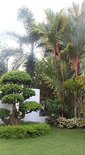 We provide a full range of gardening and landscaping services for local residents in singapore. Horticultural Services Landscape Maintenance In Singapore