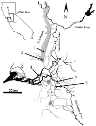 aspects of sacramento pikeminnow biology in nearshore