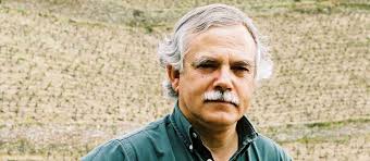 Alves de Sousa Wines