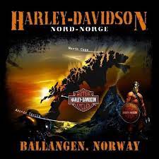 Pin By Patricia P On Motorcycle Logo S Art Other Harley Davidson Artwork Harley Davidson Dealers Harley Davidson Dealership
