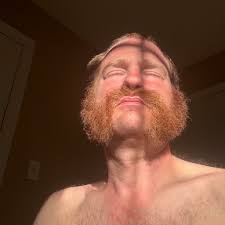 This little one hit me over the head before landing and besides being  delighted by it, all I could think was 'that's why the show is called  Yellowjackets'. Ladybugs wouldn't have made