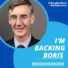 suzanne appleton (@AppletonSuzanne)