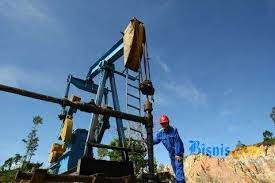Minyak zaitun sangat terkenal sejak zaman dulu. Harga Minyak 20 Februari Jumlah Pengeboran As Naik Wti Stabil Di Level 53 Market Bisnis Com