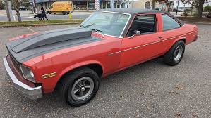 Image result for Saffron 1978 Nova