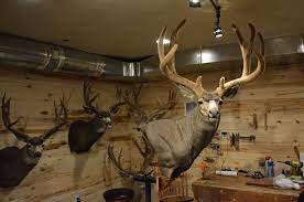 Check spelling or type a new query. The Best Pose For Your Mount Gohunt