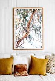 Koala Kara Rosenlund Australian Colours Home Art
