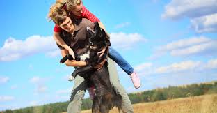 It can be really frustrating if your dog goes crazy ev. How To Stop A Dog Jumping Up