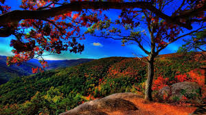 Nature Wallpaper Full Hd Nature Wallpaper Find the best new nature wallpapers that look beautiful on your device.