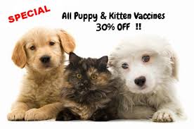Low cost vet care from helping hands in richmond, va | preventing economic euthanasia. Thornhill Veterinary Clinic Top Rated Animal Hospital In Vaughan On