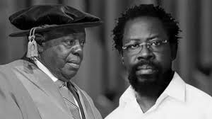 Human Rights Review Tribunal- Tassked to Obstruct Justice and Breach Human  Rights To Keep The High Courts Clear.