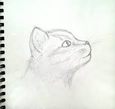 Kitten Sketch Jpg 2448 2328 Logo Tasarimi Grafik Tasarim Logolar