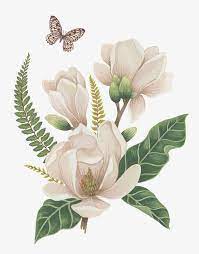 手绘白色花朵绿叶蝴蝶 新图网植物白色白色花绿叶花卉 flower tattoo flowers plants