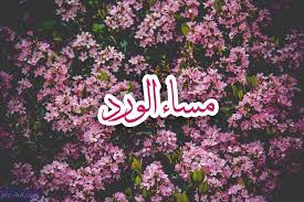 صور مساء الورد صور مكتوب عليها مساء الورد والياسمين Neon Signs Rose Pics