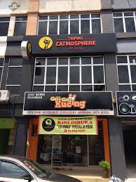 Kedai menjual aksesori dan alatganti kereta. Hotel Kucing Murah Geli Geli Kucing