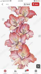 Pin By Neli G On Tattoos Flower Drawing Birth Flower Tattoos Realistic Flower Drawing