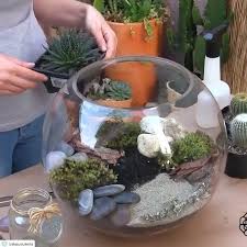 Here's how to care for succulent terrariums long term. Best 12 Page 514677063663541850 Skillofking Com Pflanzen Terrarium Pflanzen Sukkulenten