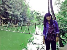 Mata kucing bengkak, merah, dan terus menerus mengeluarkan air mata bisa disebabkan oleh virus herpes. Air Mata Kucing Batam Indonesia Kucing Mata Kucing